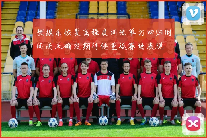 樊振东恢复高强度训练单打回归时间尚未确定期待他重返赛场表现
